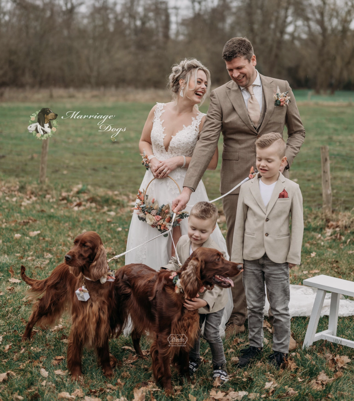 Marriage Dogs